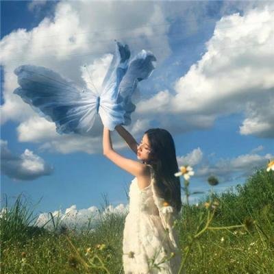 红犬历险记